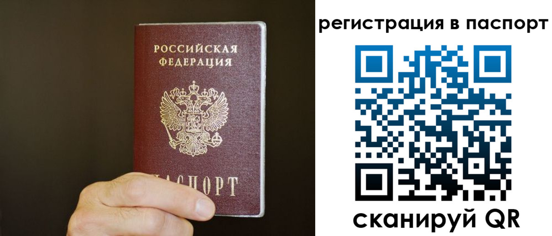 временная регистрация законно в Курской области